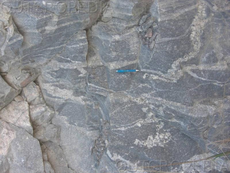 veins in gneiss