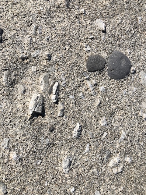Magmatic foliation in a granodiorite, Elba island Italy
