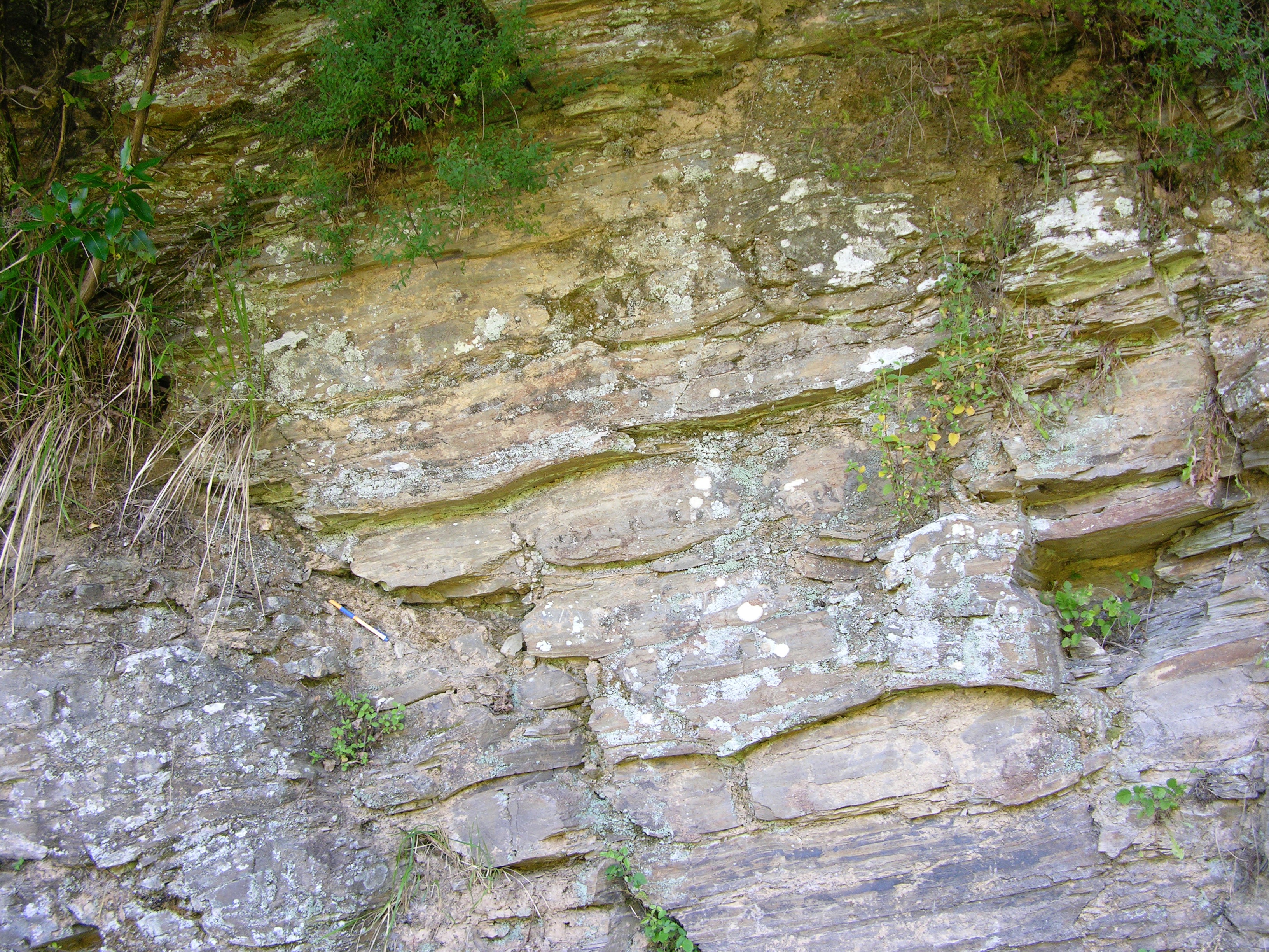 Boudinage in quarzitic levels interbedded with phillites (Northern Apennines, Italy)