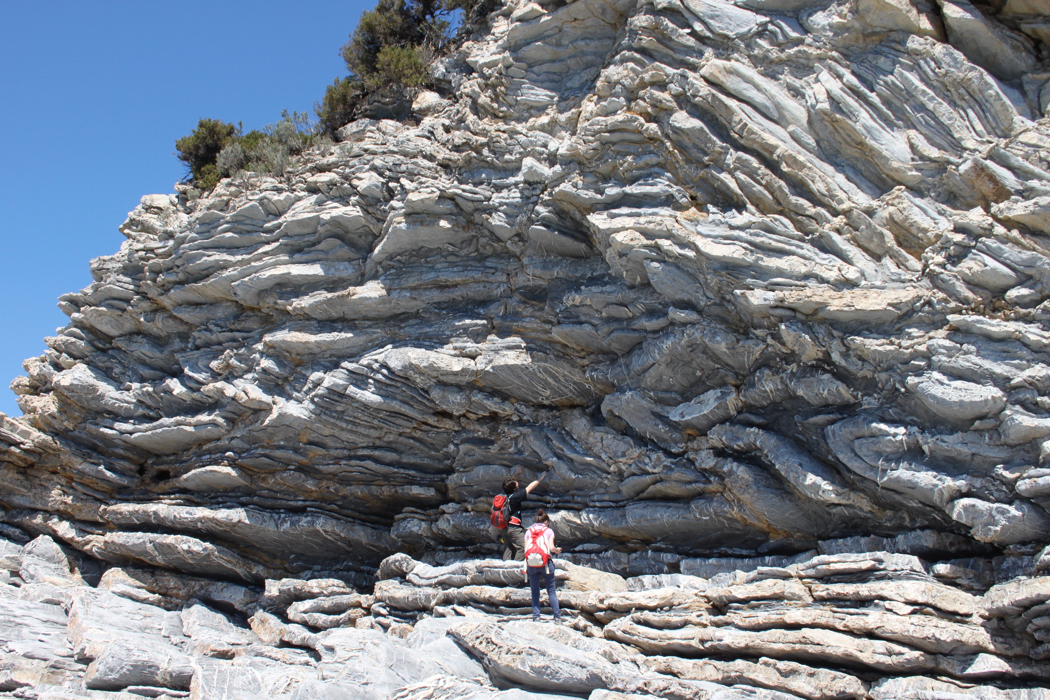 Folds in metalimestone (Northen Apennines, Italy)