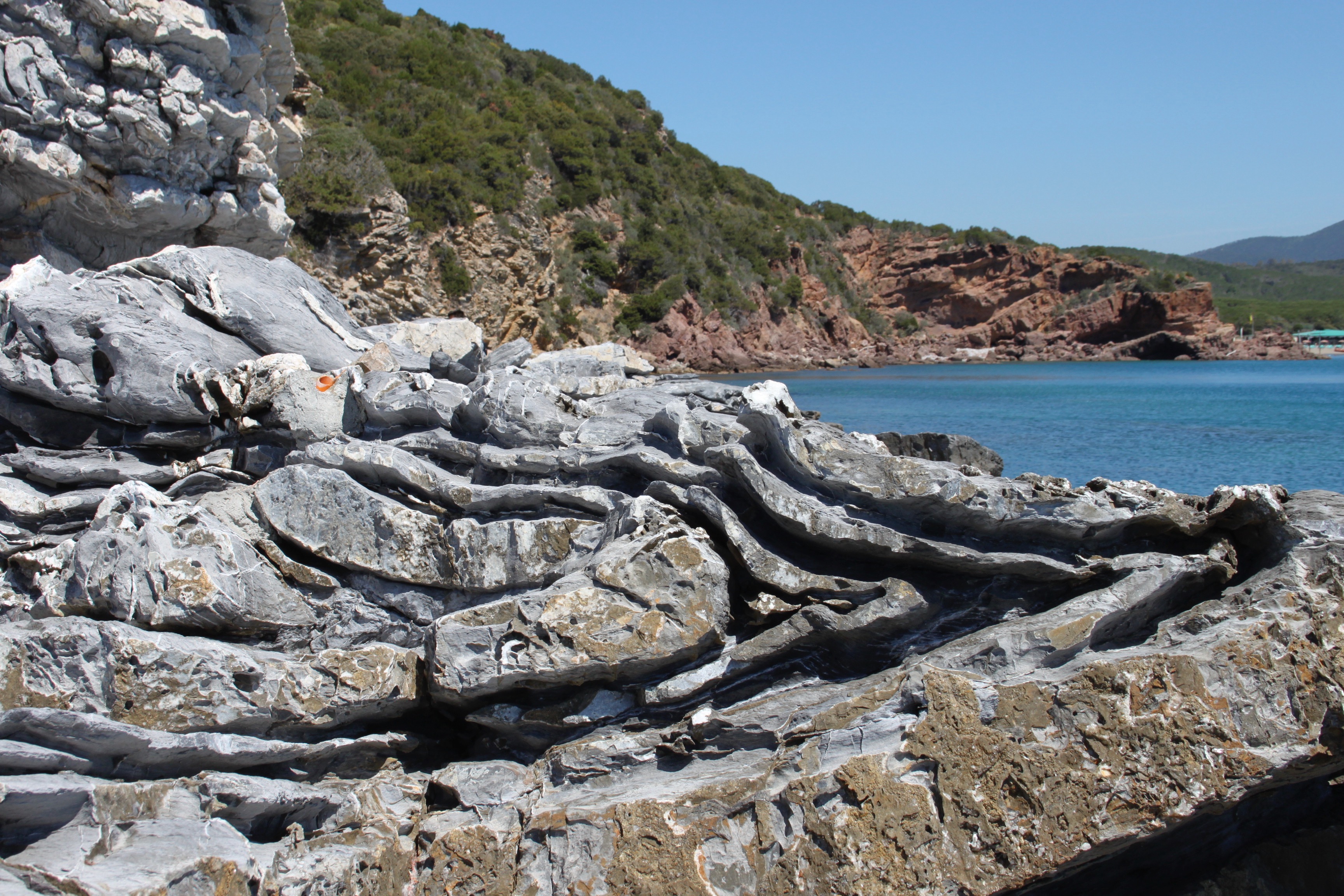 Fold in marly metalimestone (Northern Apennines, Italy) photo by Chiara Montomoli