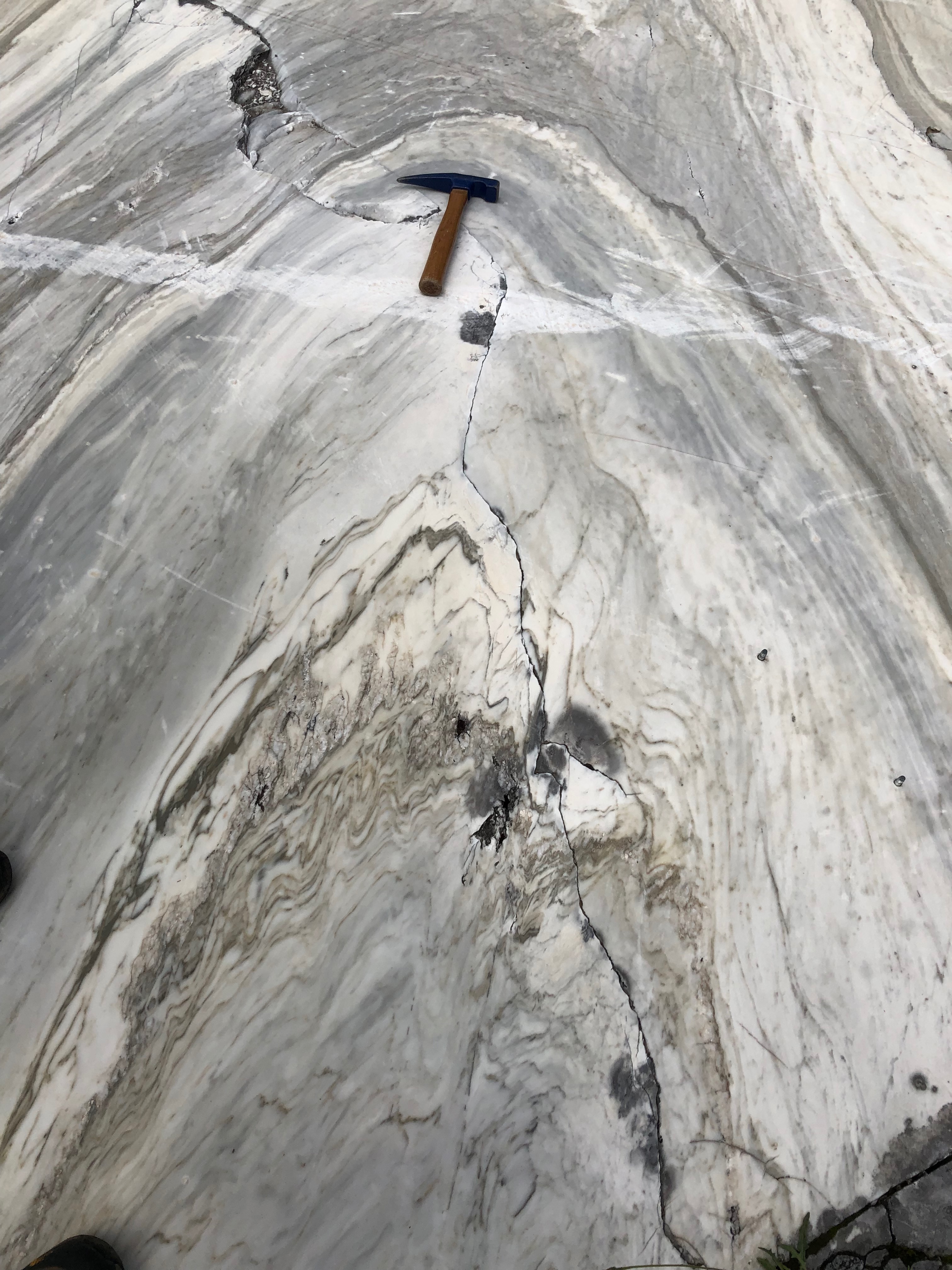 Tight fold in Jurassic marble (Apuane Alps, Northern Apennines)