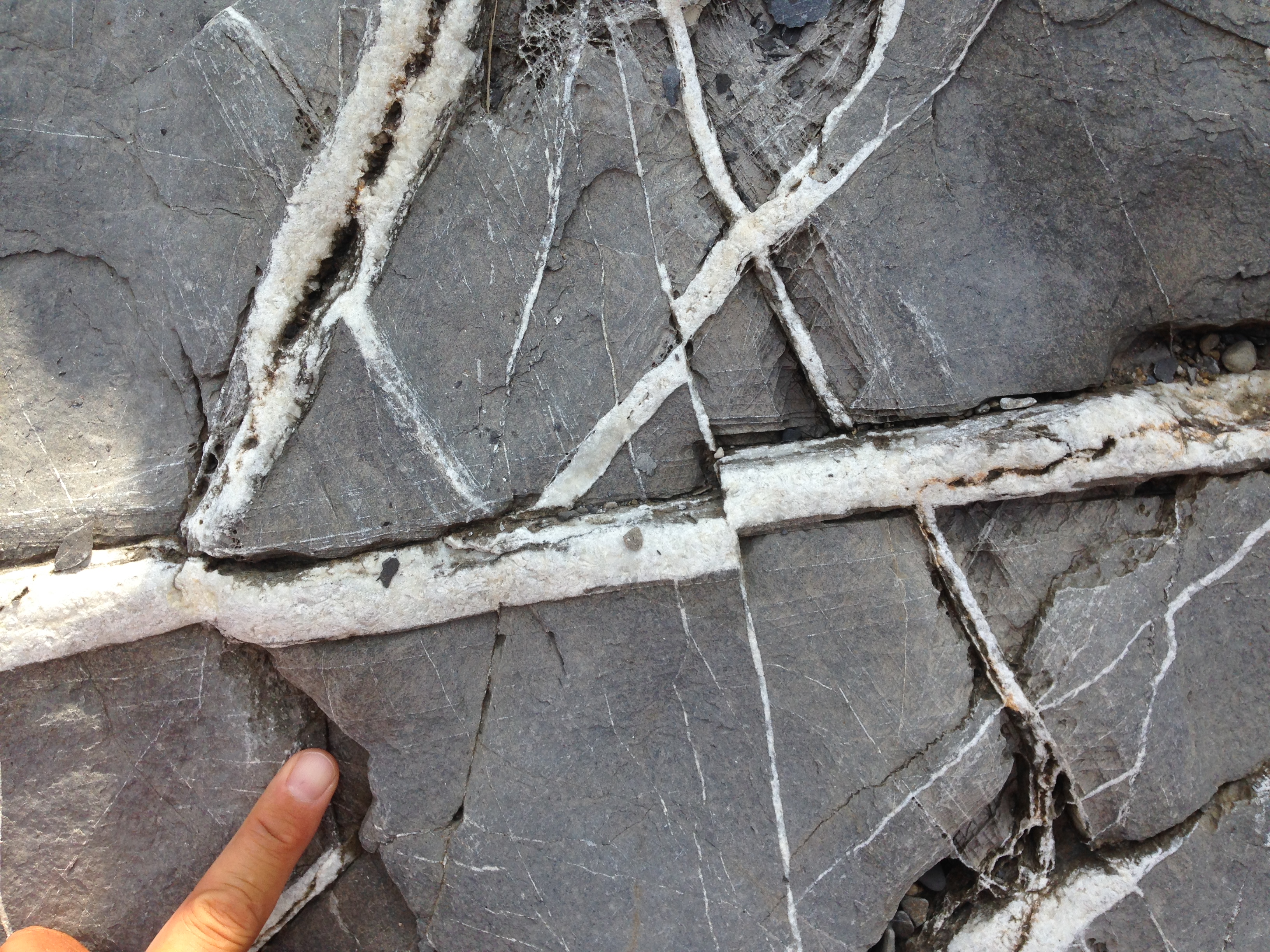 Different generations of calcite veins in Palombini shales, Elba Island, Italy