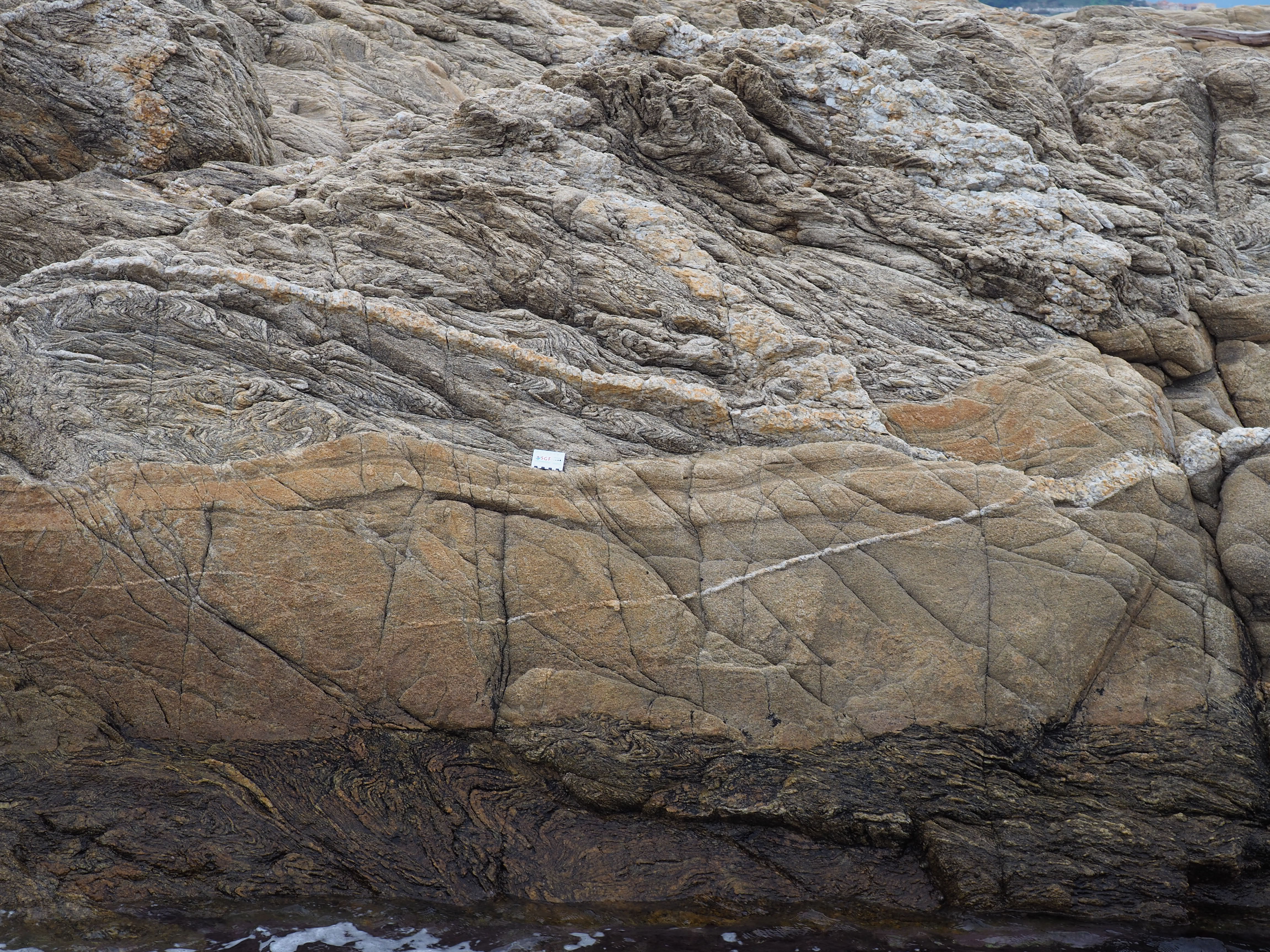 Dyke in the migmatitic gneiss at St Tropez