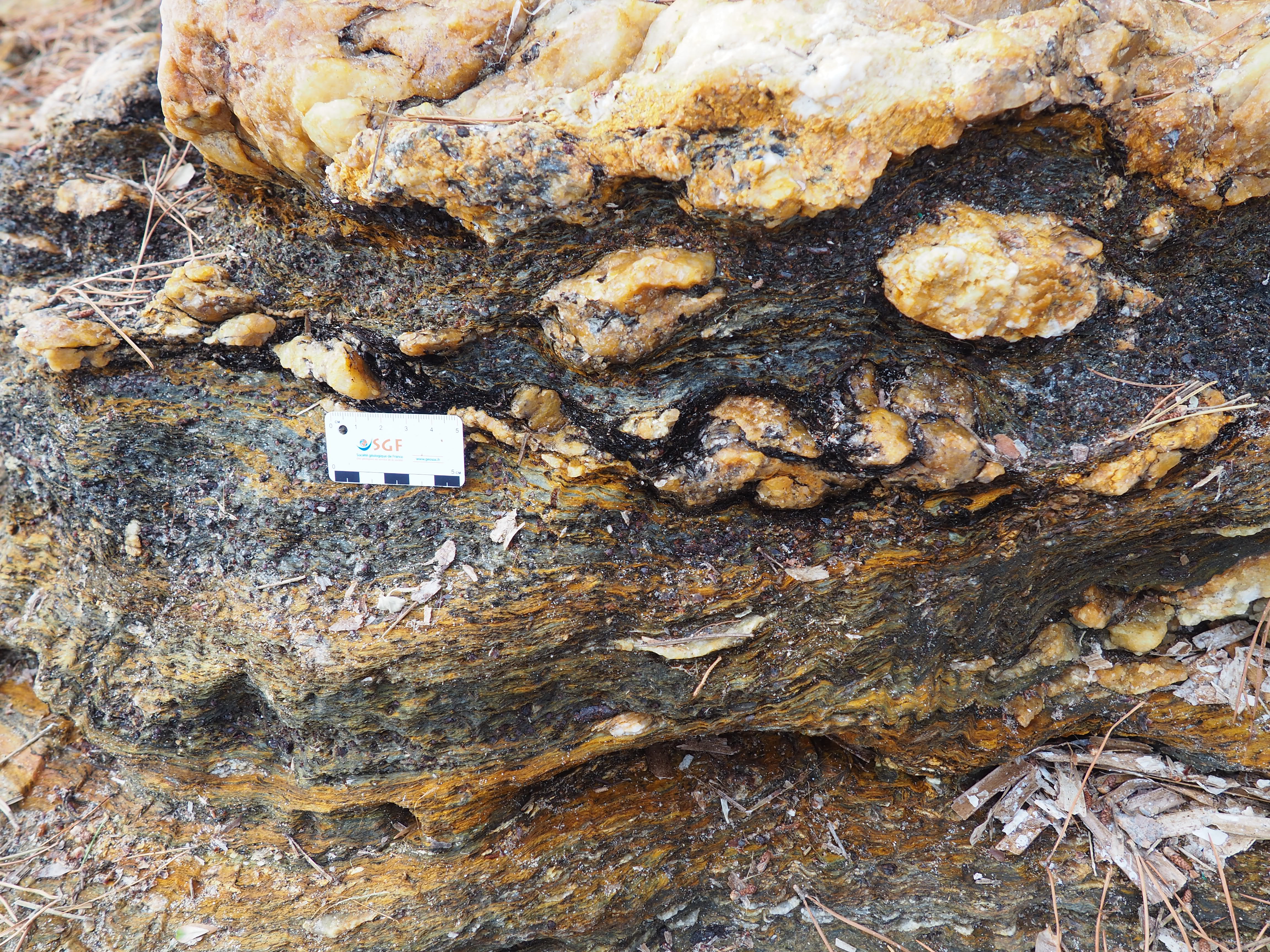 Garnet and biotite in micaschist of Rayol le Canadel