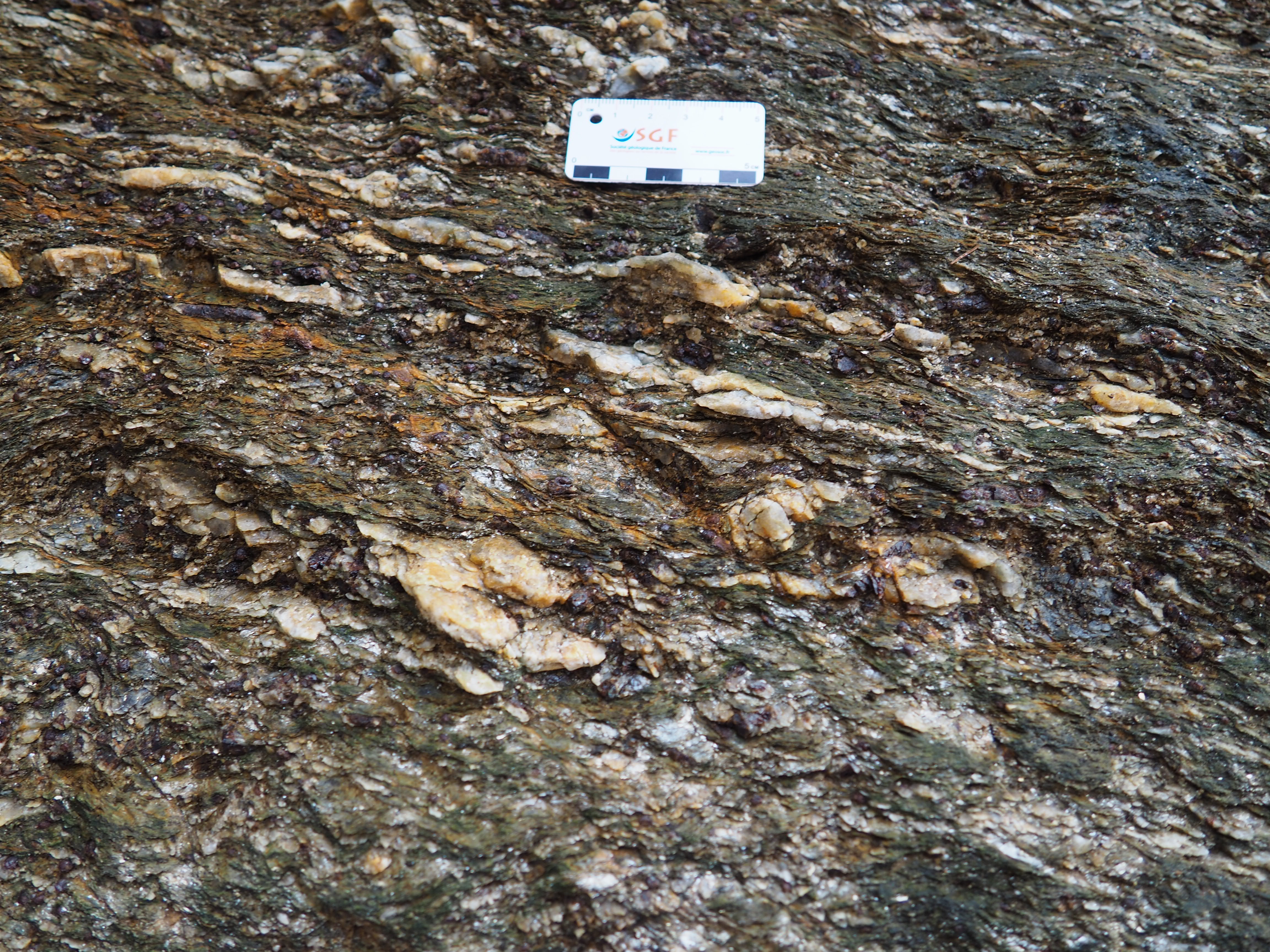 Garnet and muscovite in micaschist of Rayol le Canadel