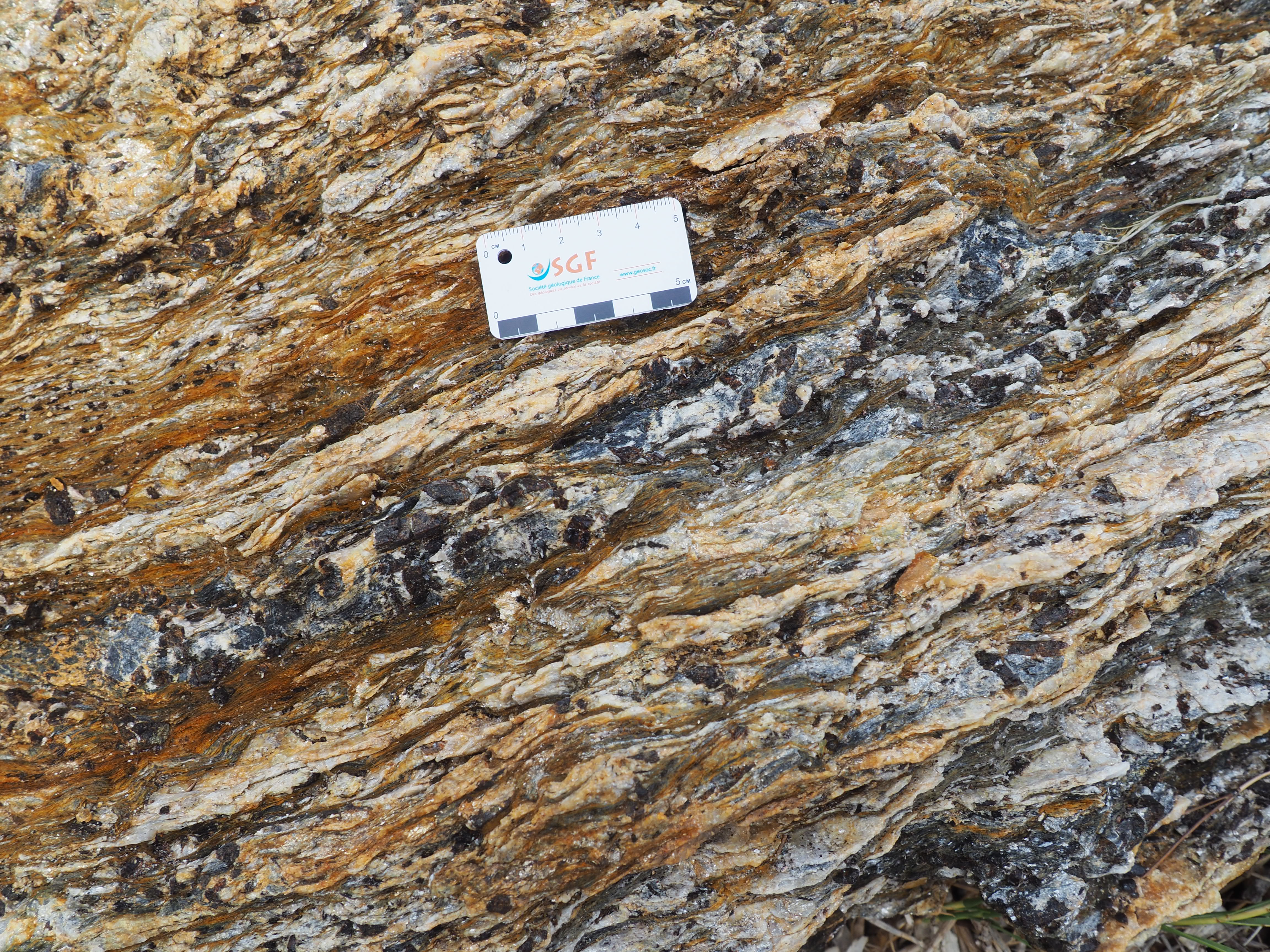Staurolite with garnet and tourmaline in quartz rich micaschist of Rayol le Canadel