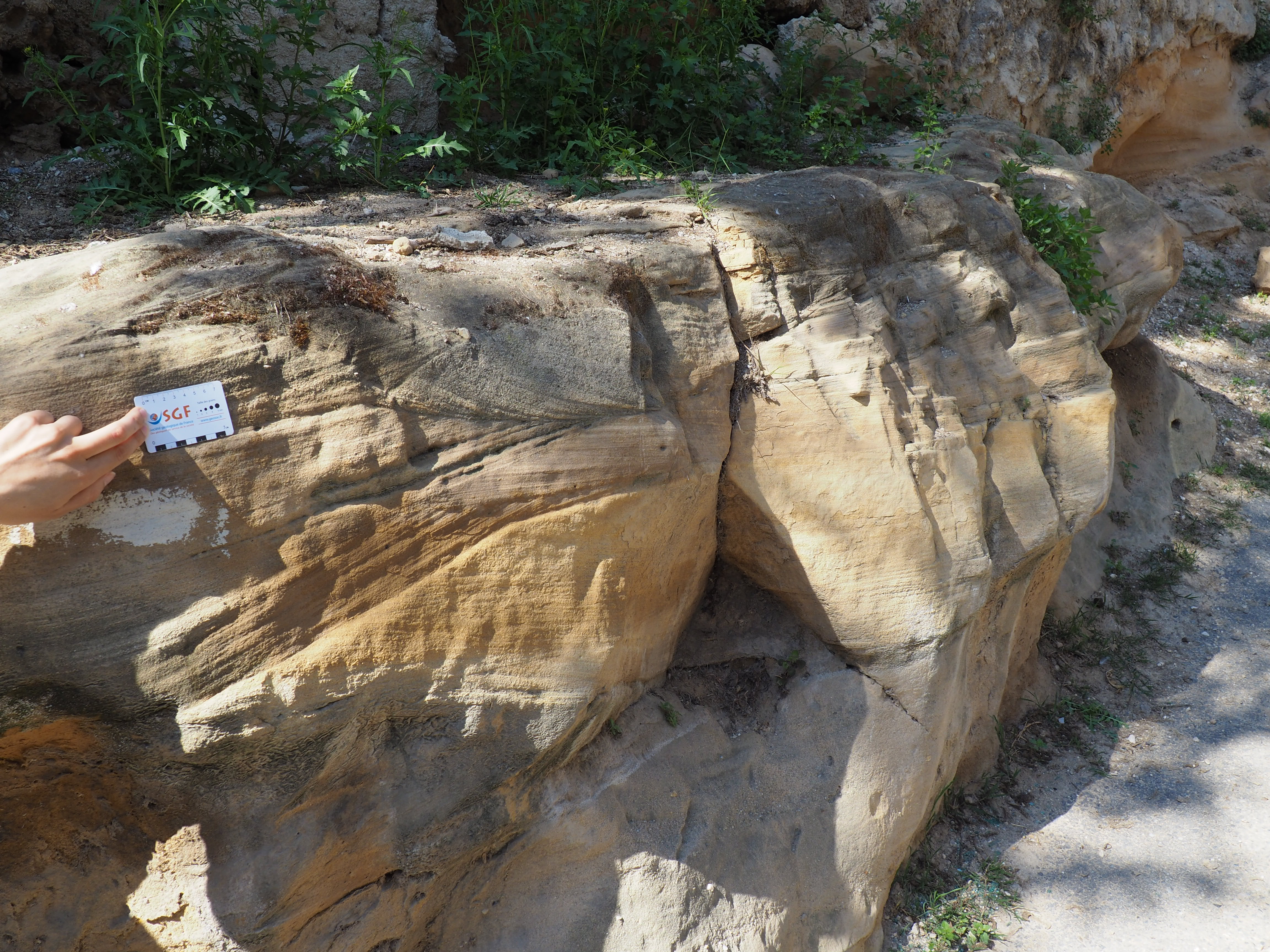 Cross-bedding sandstones in Marseille basin
