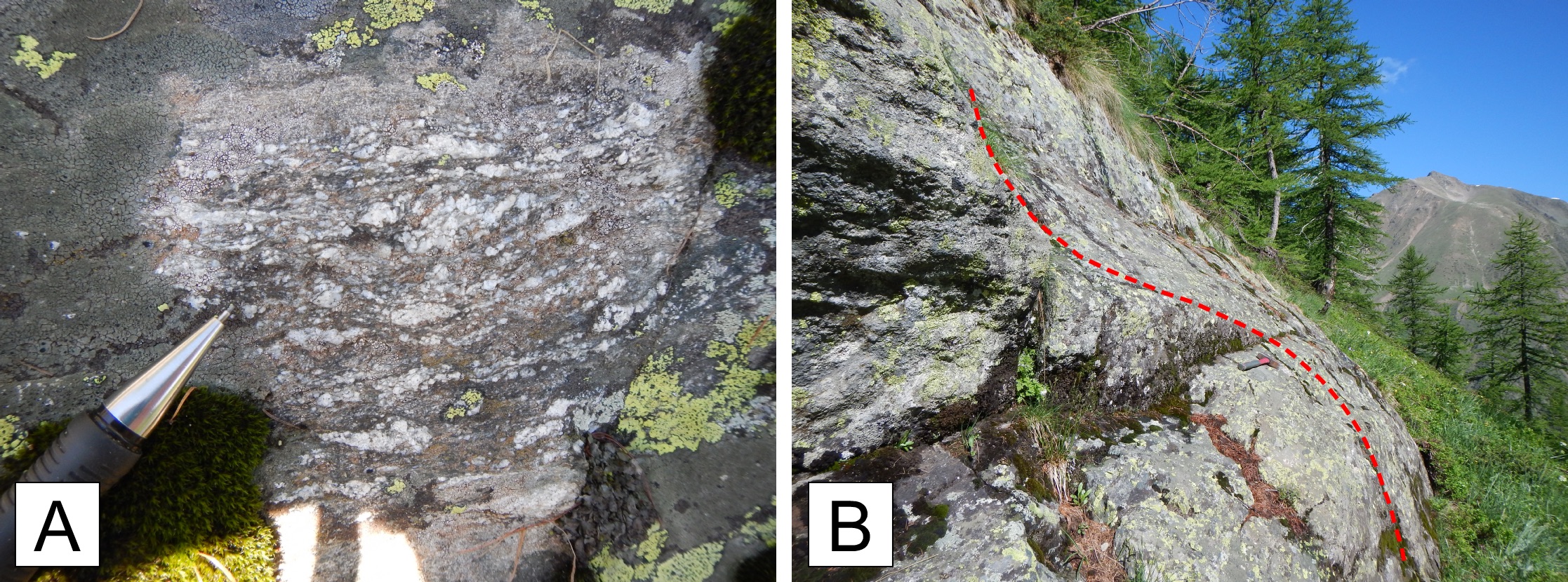 Mylonitic gneiss of the Ferriere-Mollières shear zone