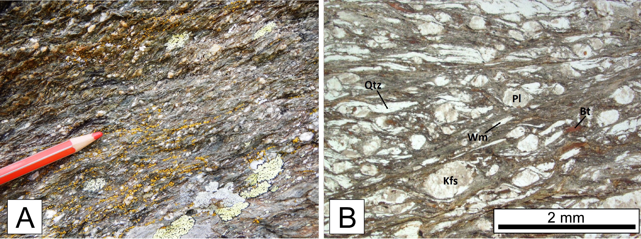 Mylonitic schists of the Ferriere-Mollières shear zone