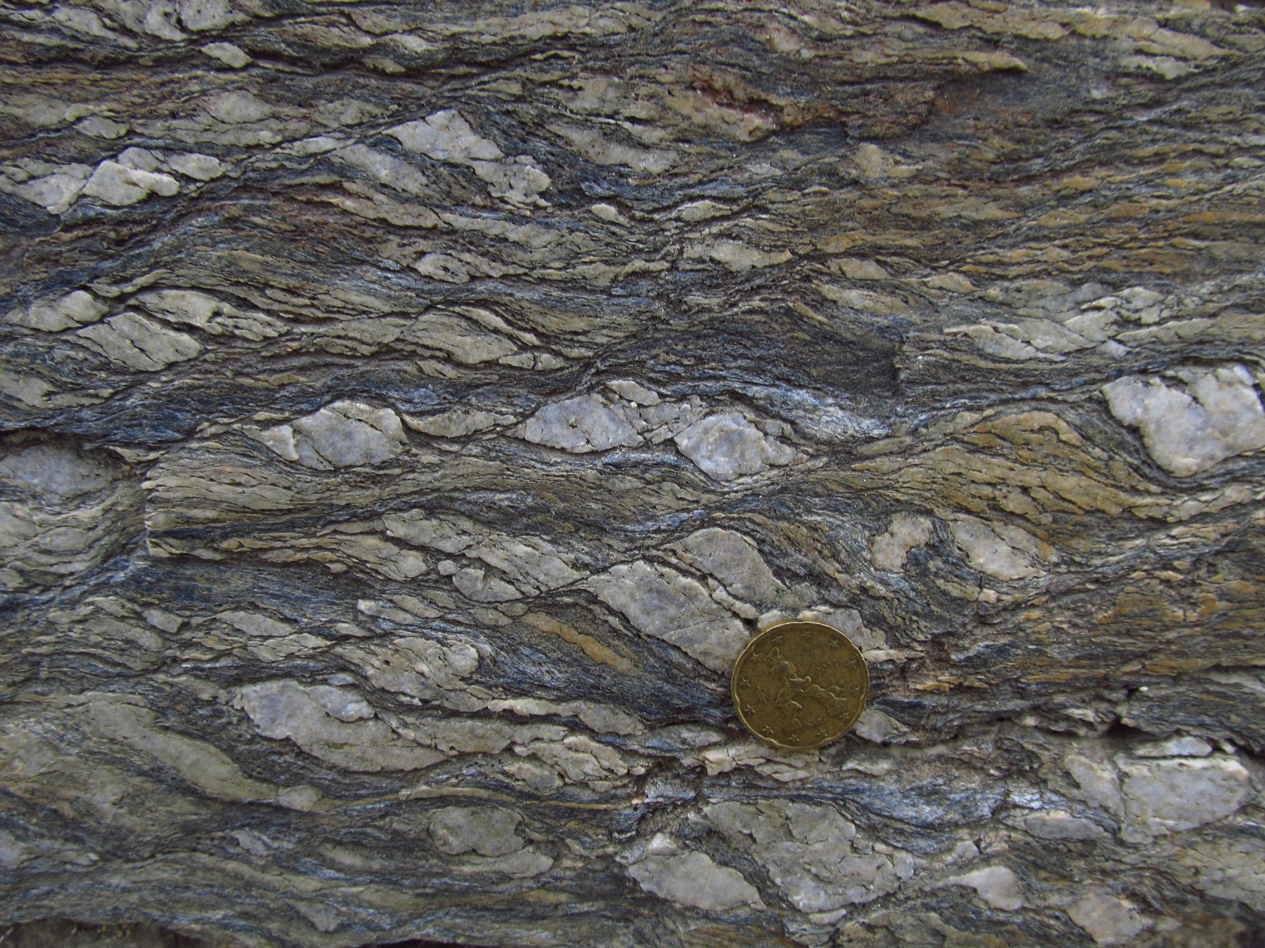 S-C mylonites in the Calamita Schists