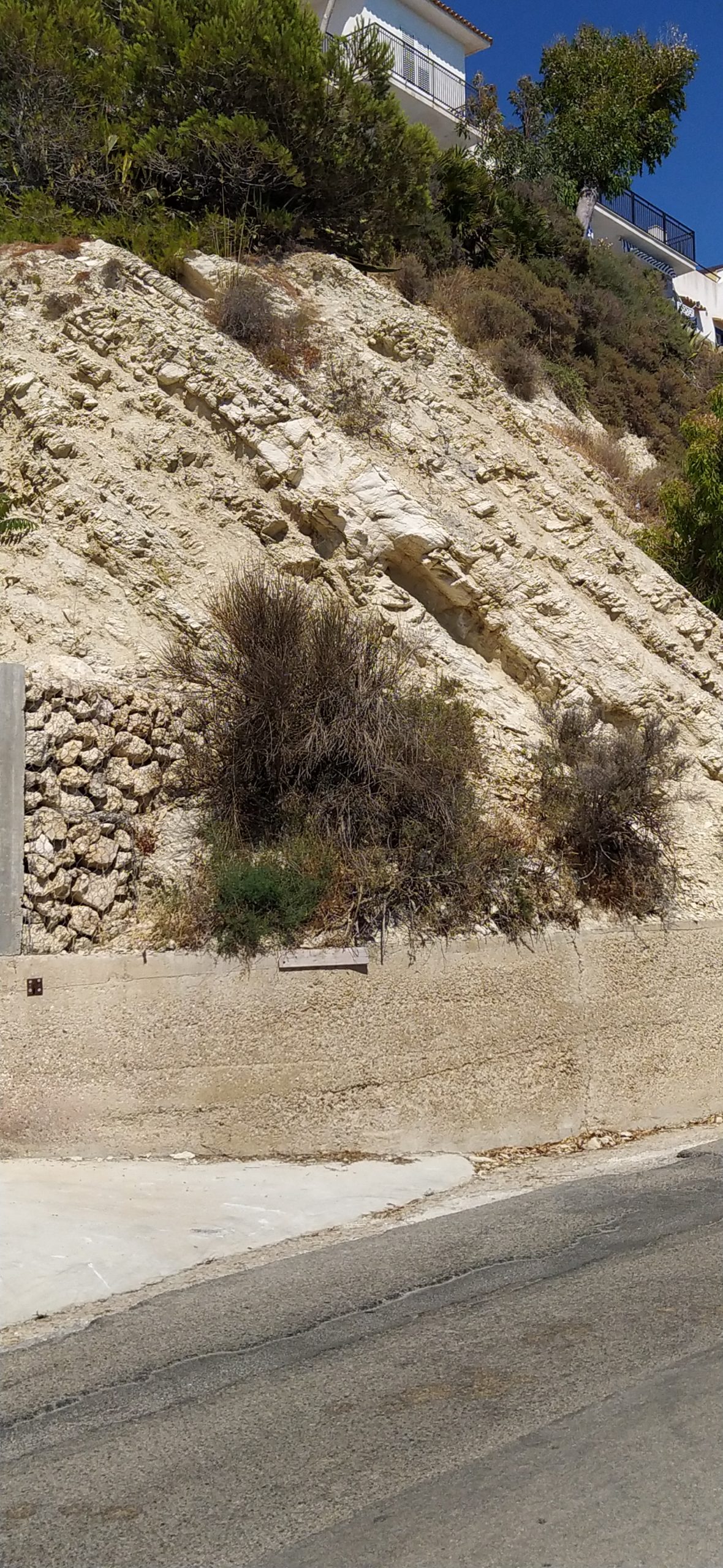 Folds on Fm. Trubi (Southern Sicily)