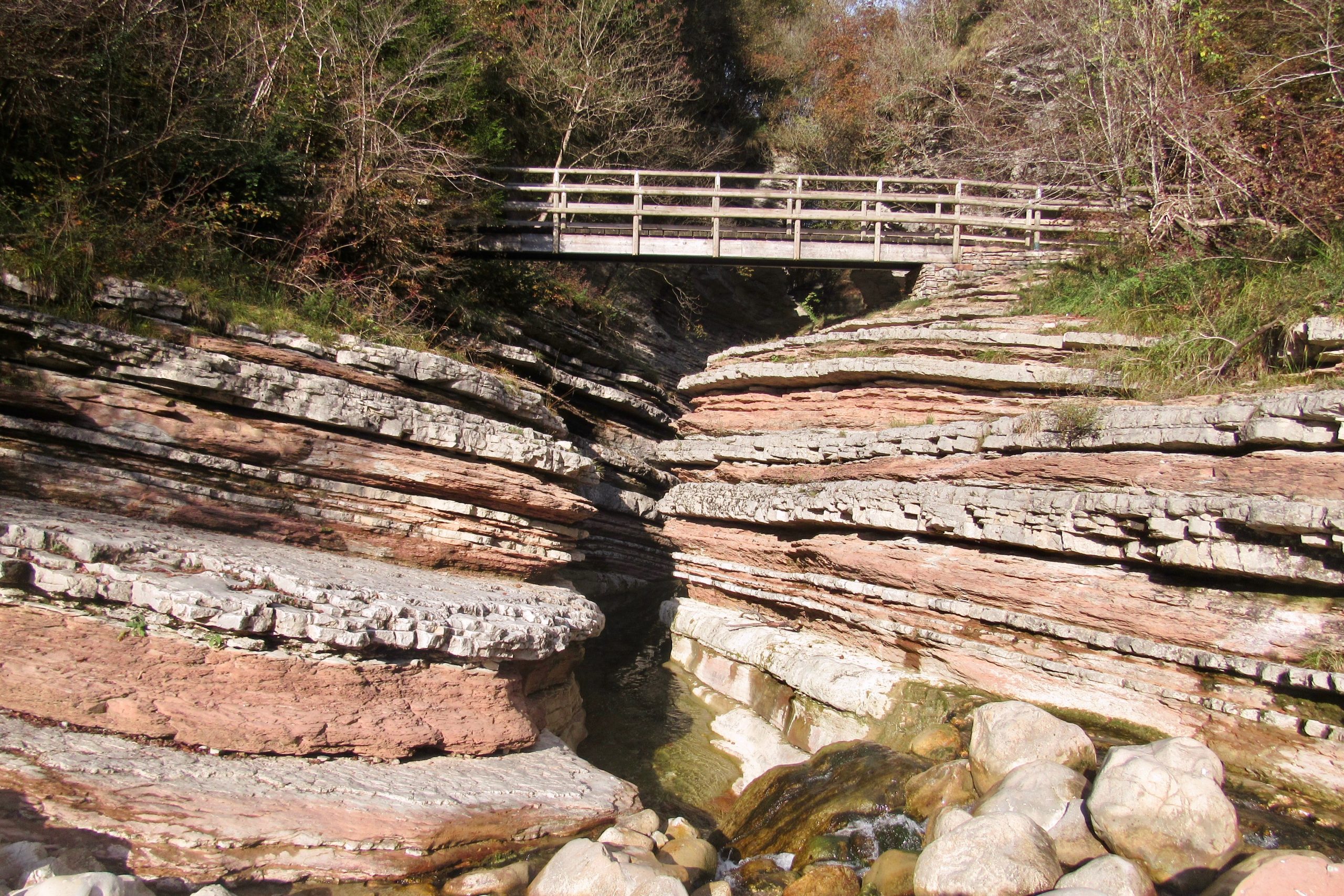 Danian redbeds and calciturbidites