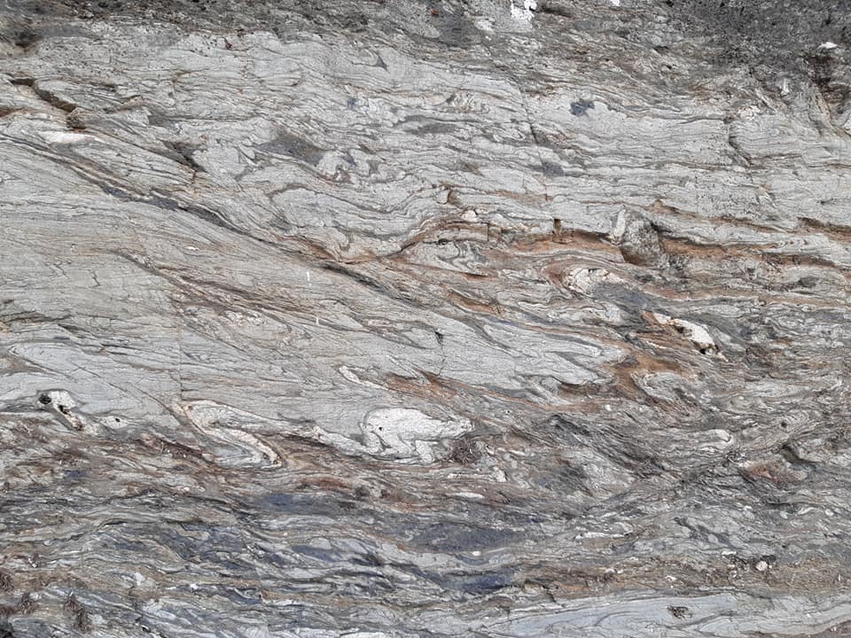 Insubric Line (“Tonale Line”) mylonites with pseudotachylyte injections