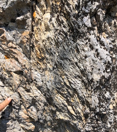 Foliated cataclasite, normal fault, Sasso Rosso, Italy