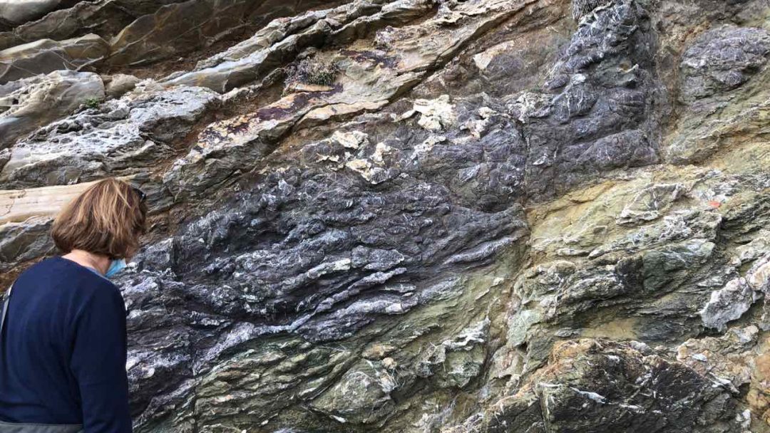 Pillow basalts and their sedimentary cover