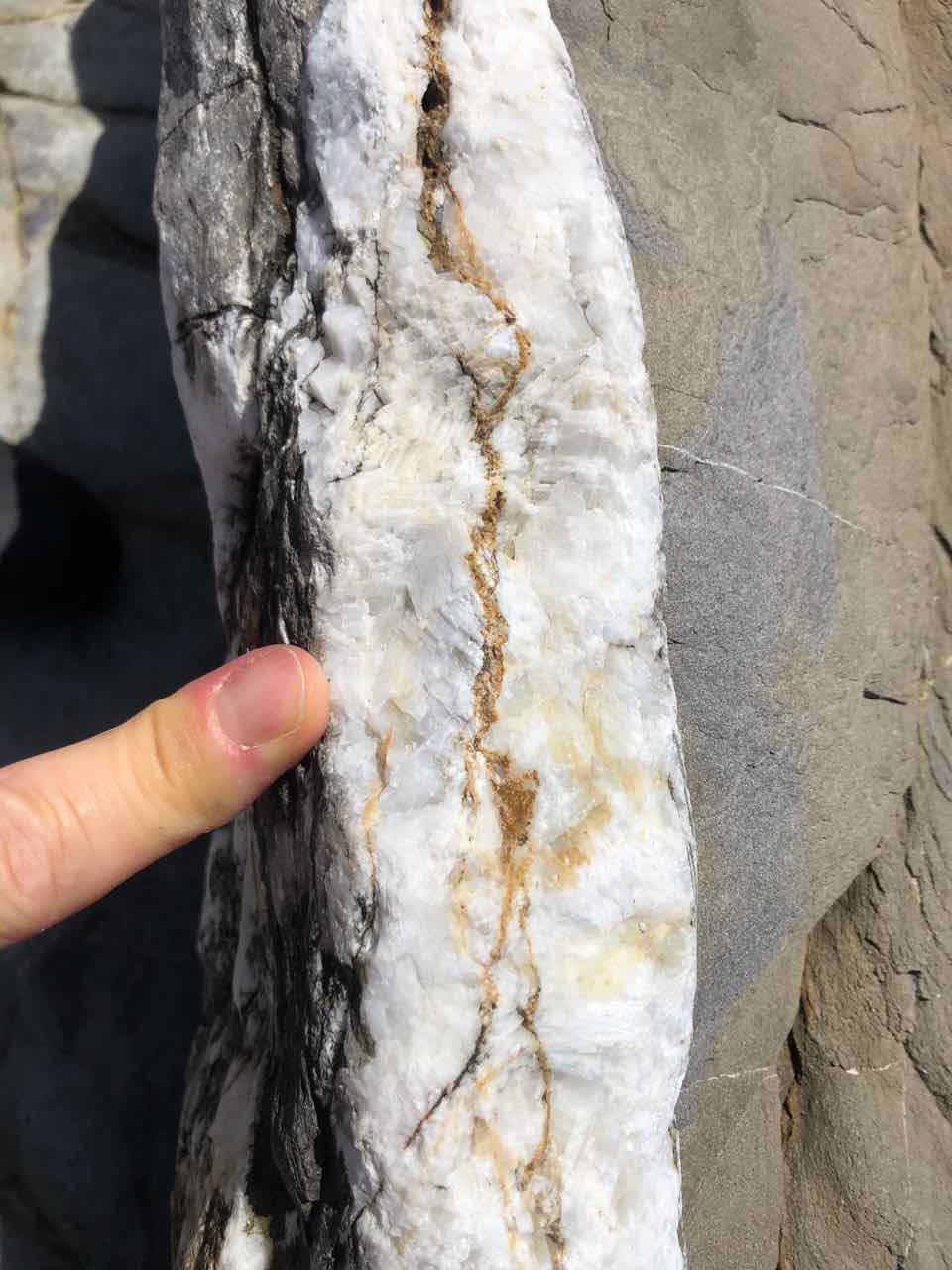 Calcite-filled veins