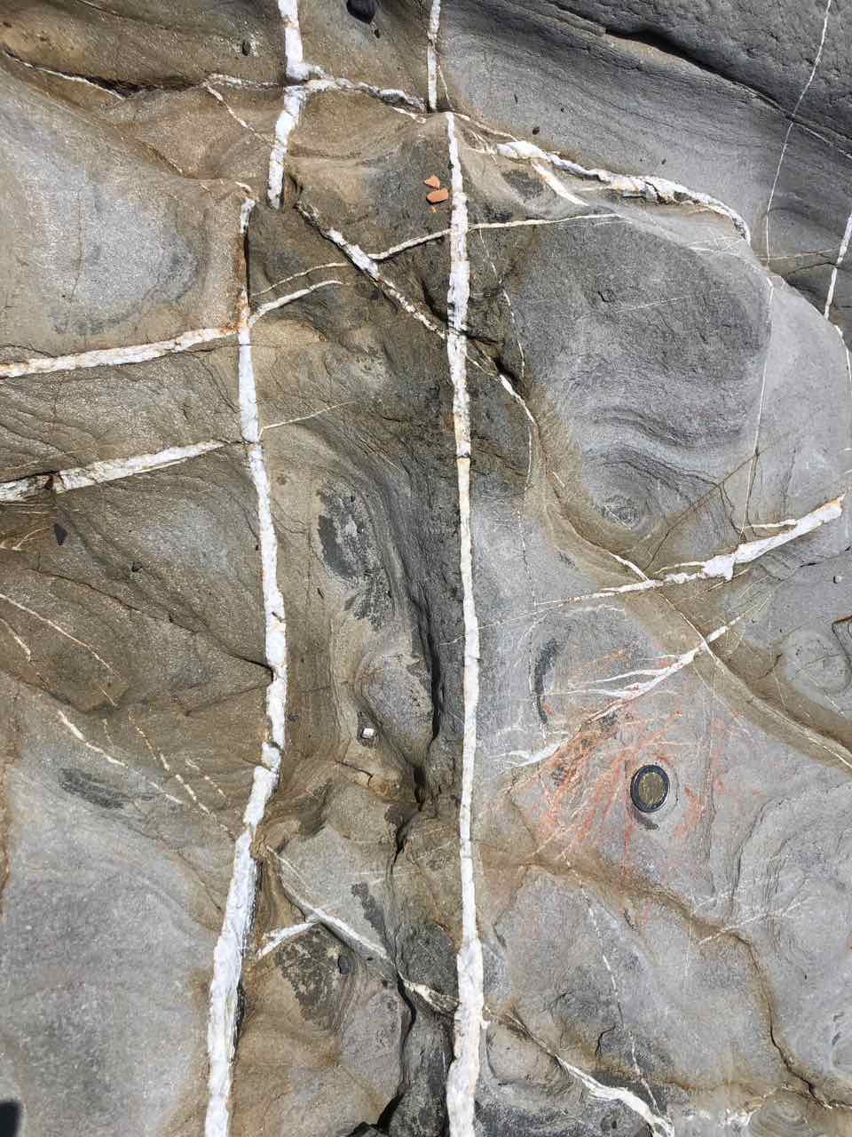Veins in Palombini Sales