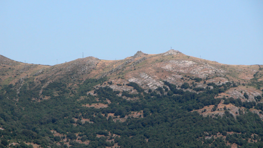 Barbagia thrust