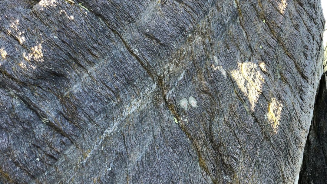 Bedding and clevage in Triassic quartzite, Monti Pisani