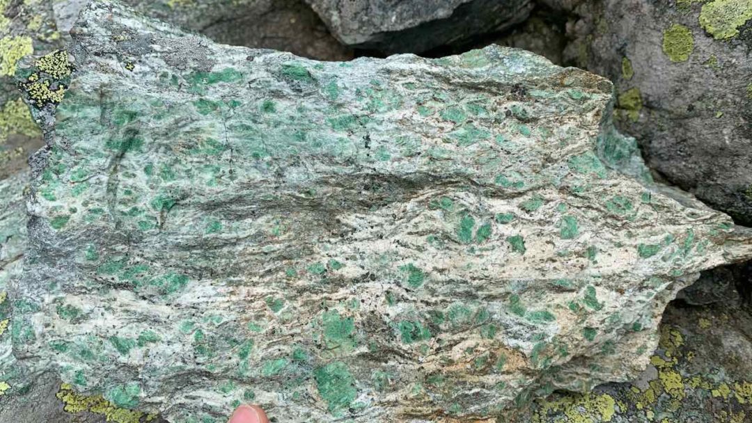 Mylonitic metagabbro (Monviso)