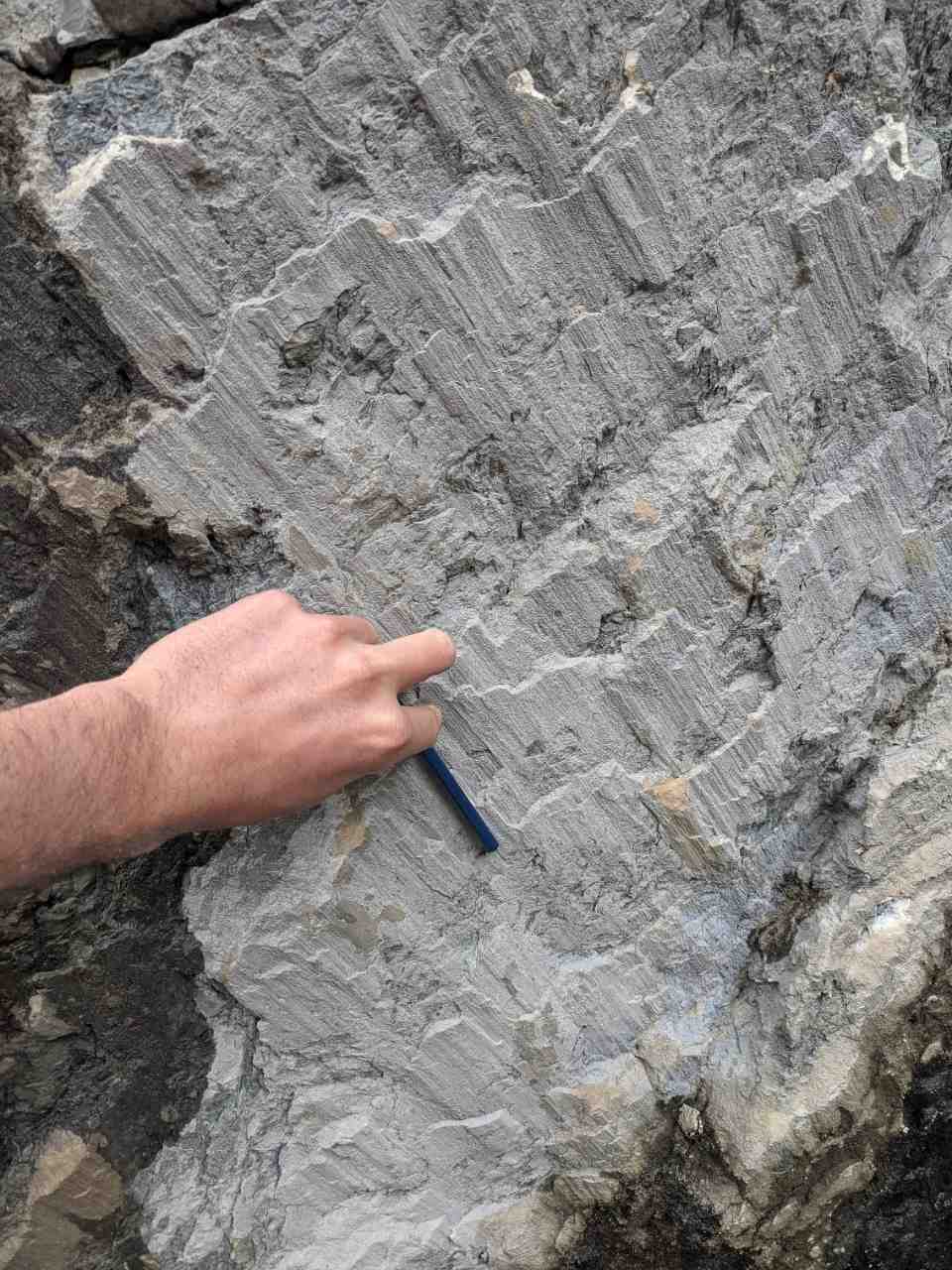 Fault slickensides