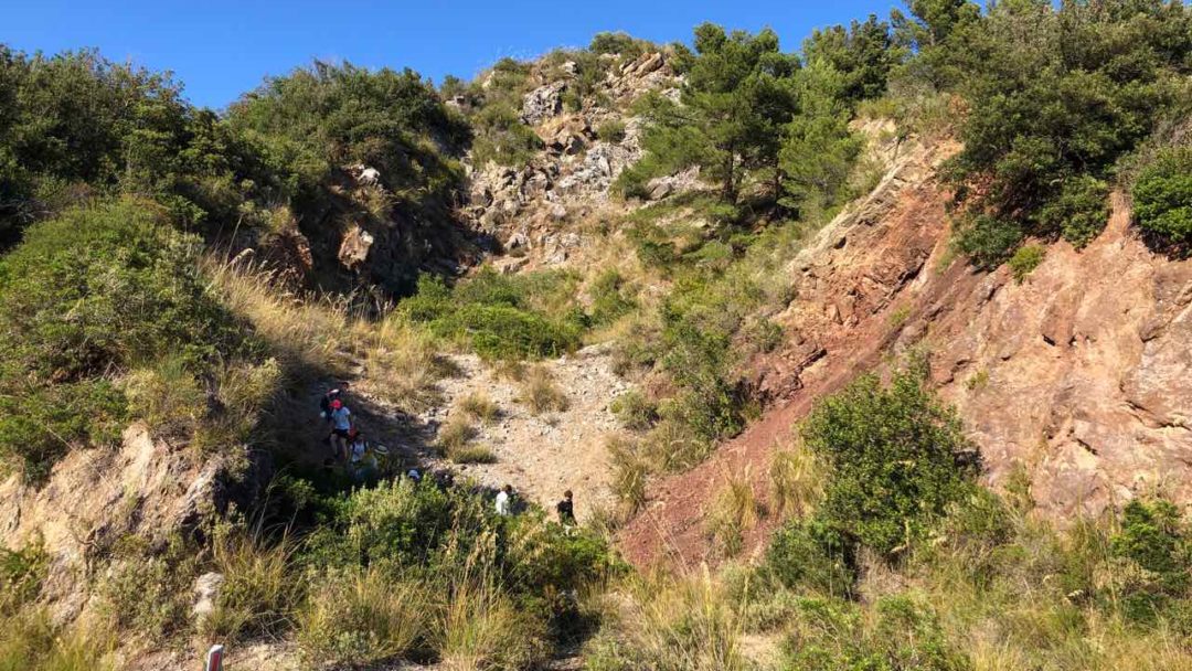 Syncline