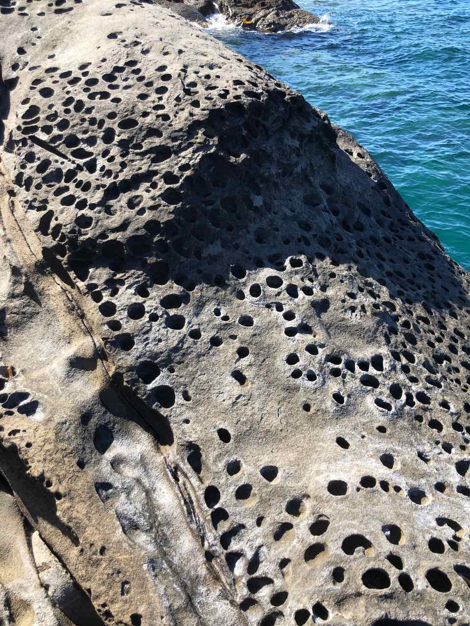 Honeycomb weathering on sandstone, Livorno