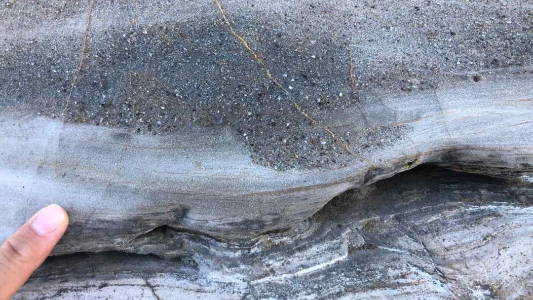 Macigno formation, Livorno