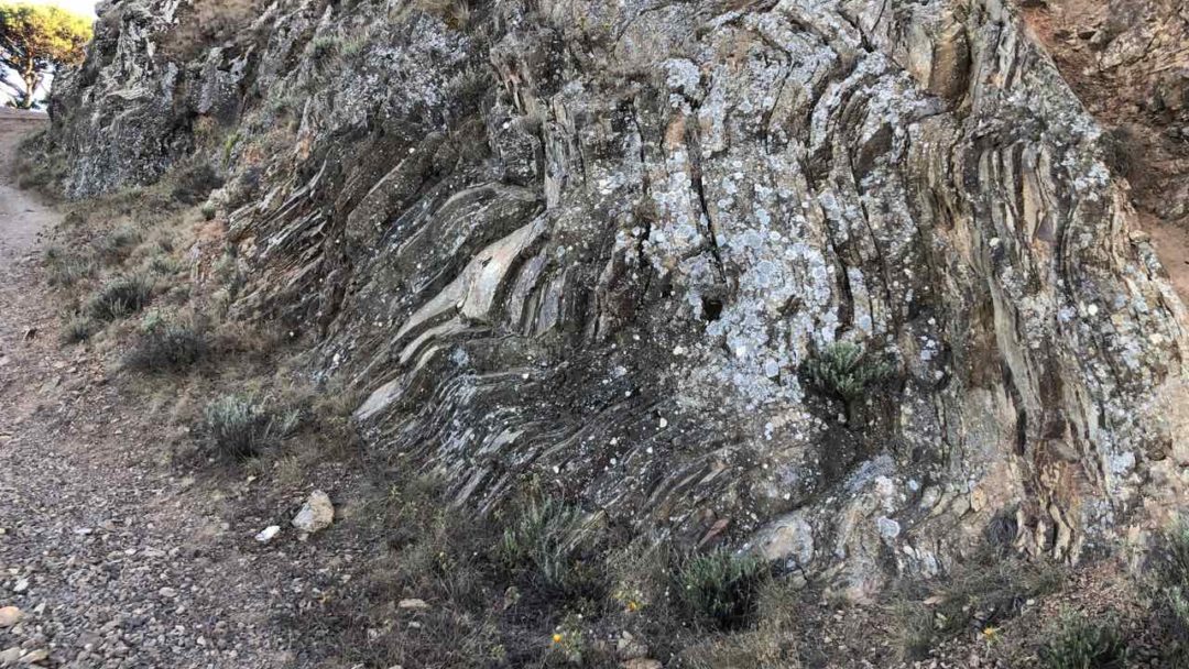 Folds in cherts, Elba island