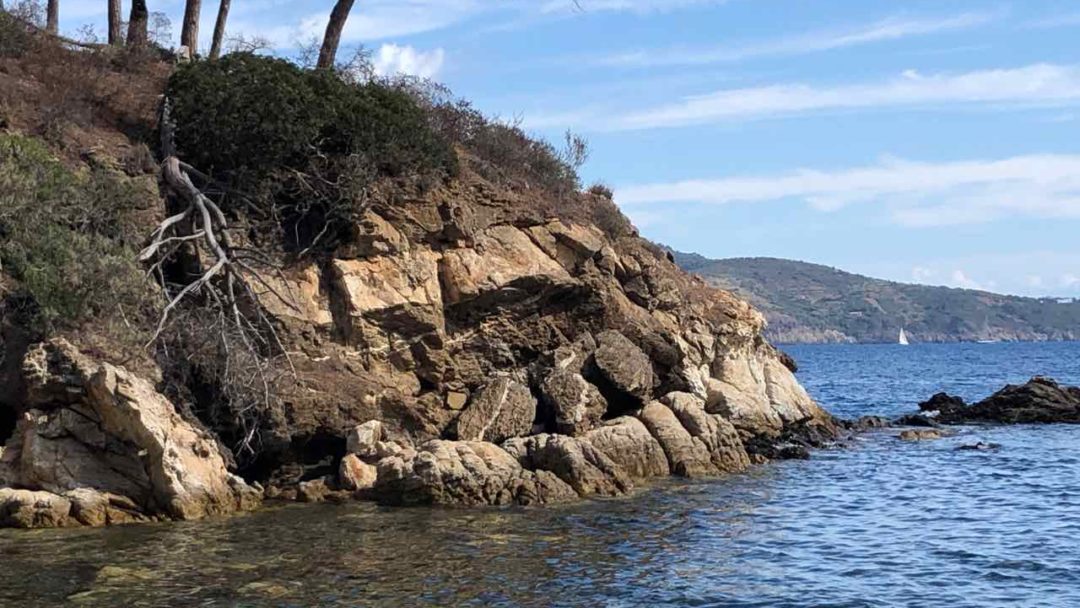 Granite dykes in metamorphic rocks of Calamita schist, Elba Island