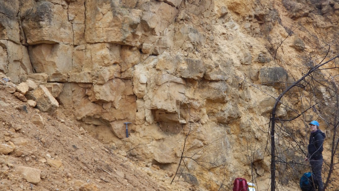 Upper Cambrian Potosi Dolomite glauconitic dolomite